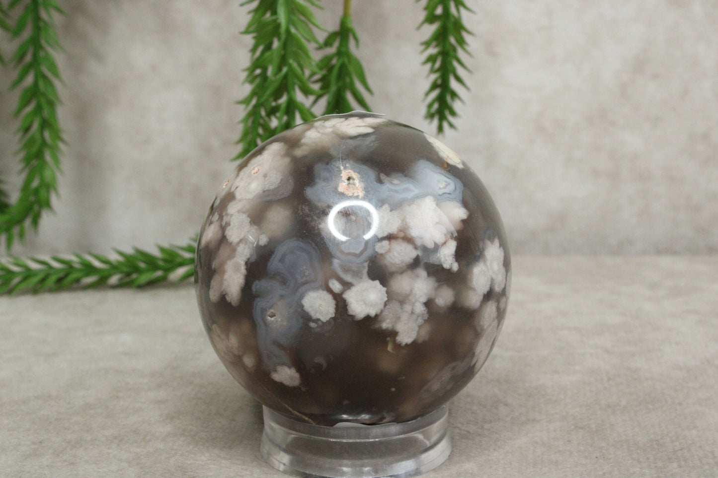 Bloemagaat bol #0323