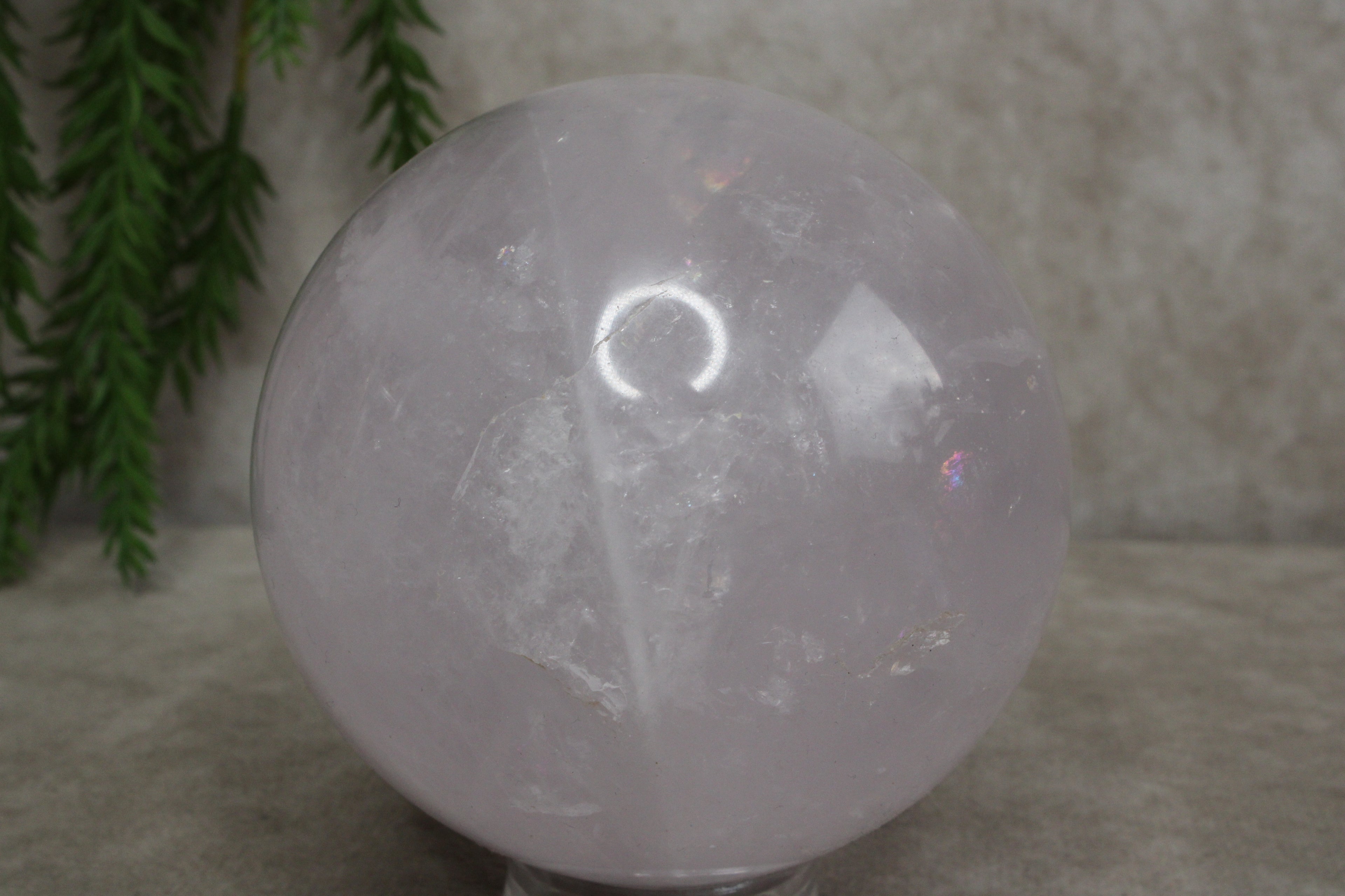 Rozenkwarts bol #1440