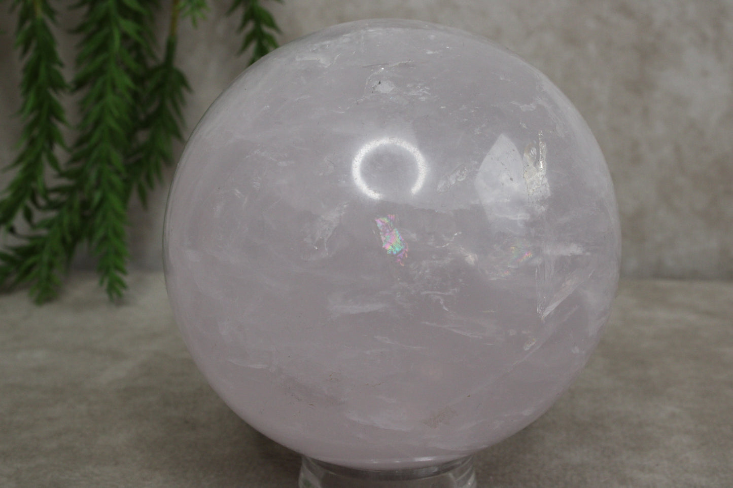 Rozenkwarts bol #1440