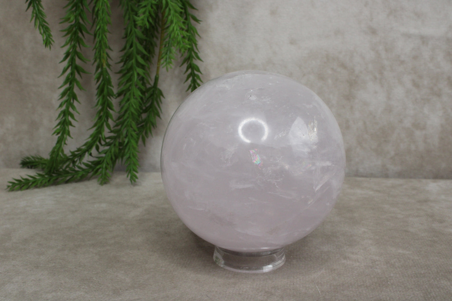 Rozenkwarts bol #1440