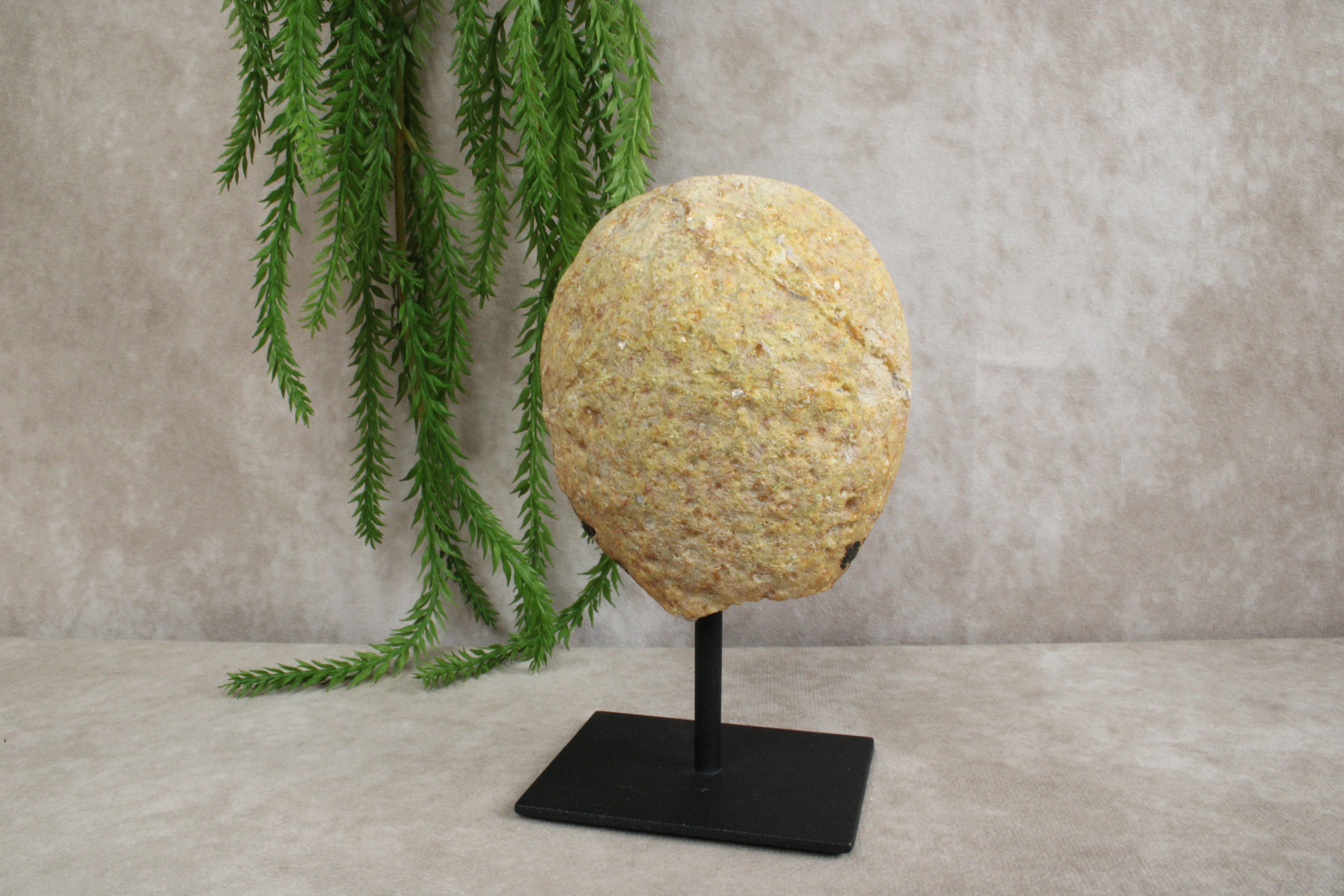 Agaat op standaard #1311