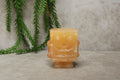 SpongeBob oranje calciet