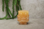 SpongeBob oranje calciet