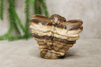 Engel calciet