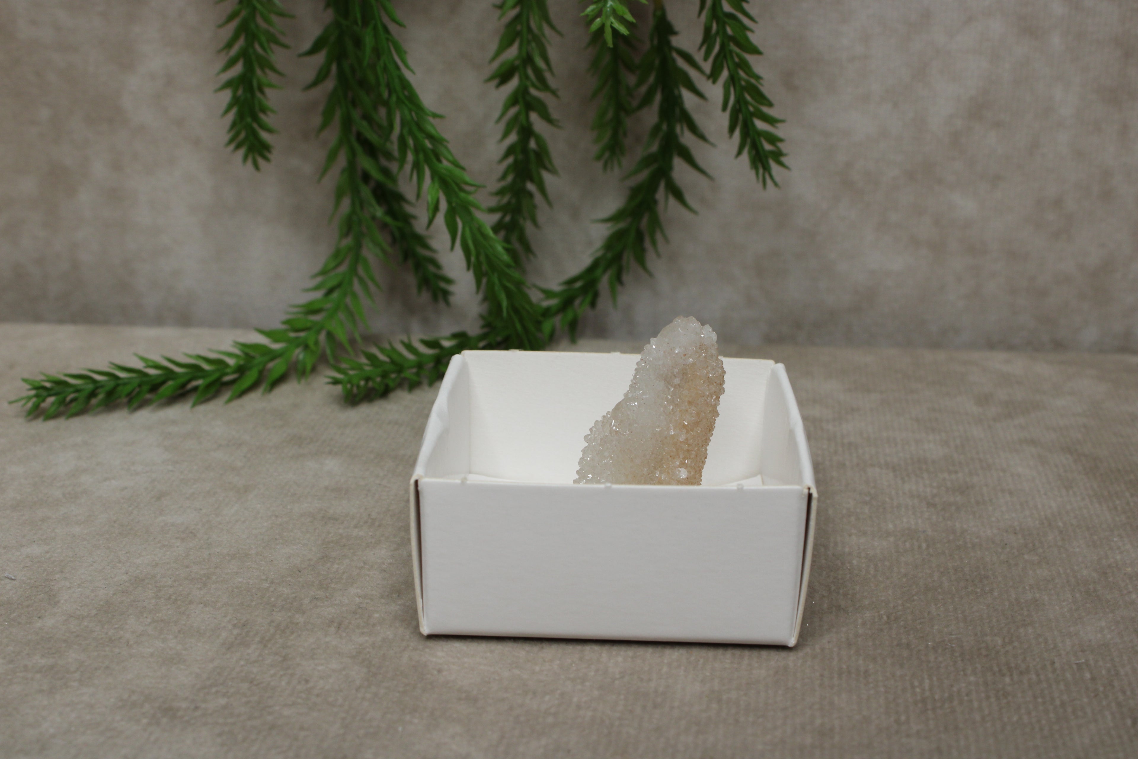 Cactus kwarts / Spirit kwarts #14