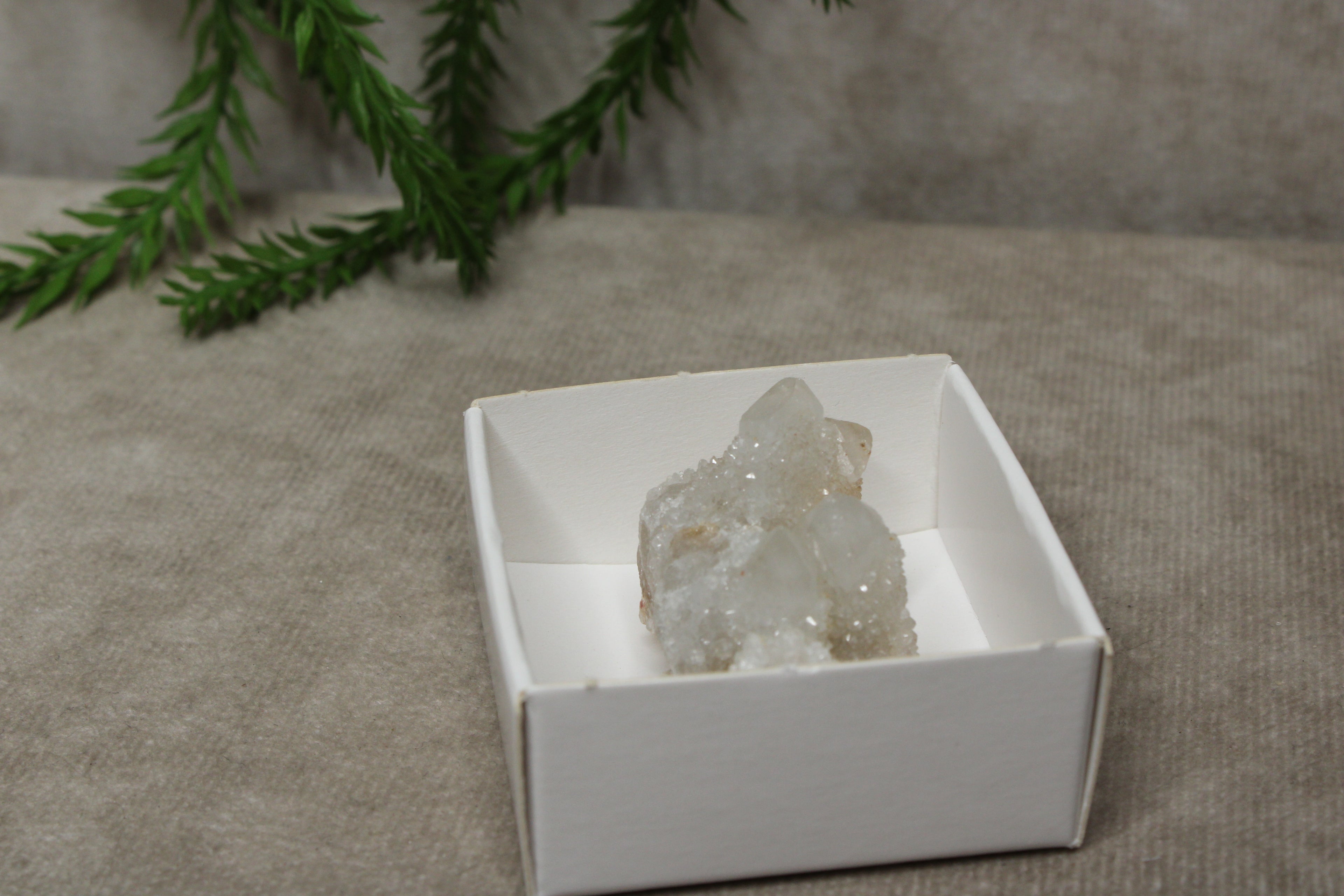 Cactus kwarts / Spirit kwarts #27