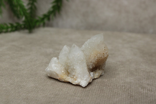 Cactus kwarts / Spirit kwarts #27