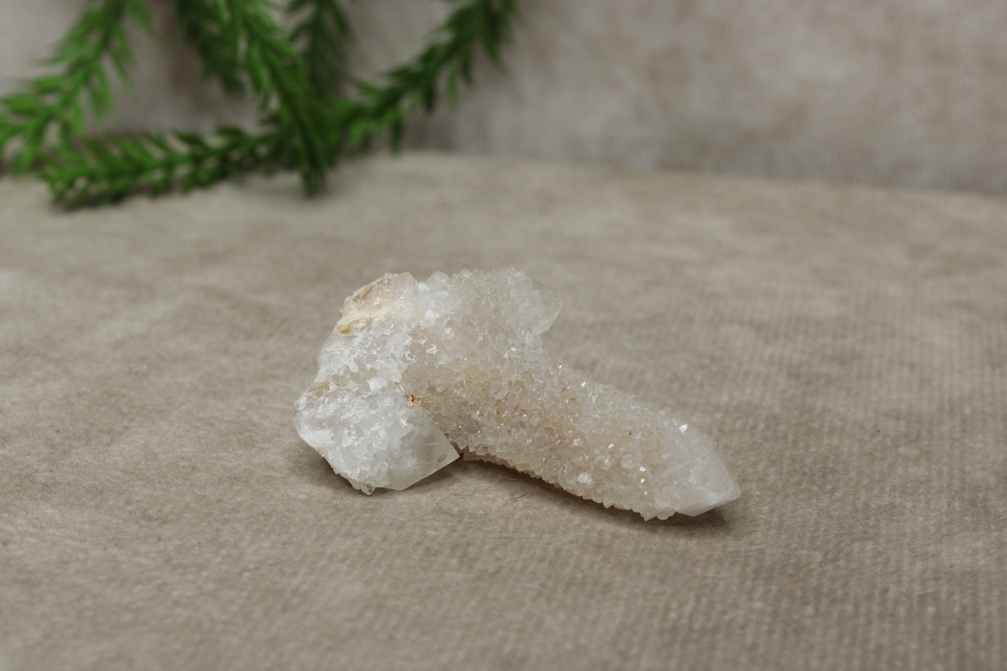 Cactus kwarts / Spirit kwarts #20