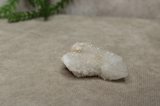 Cactus kwarts / Spirit kwarts #30