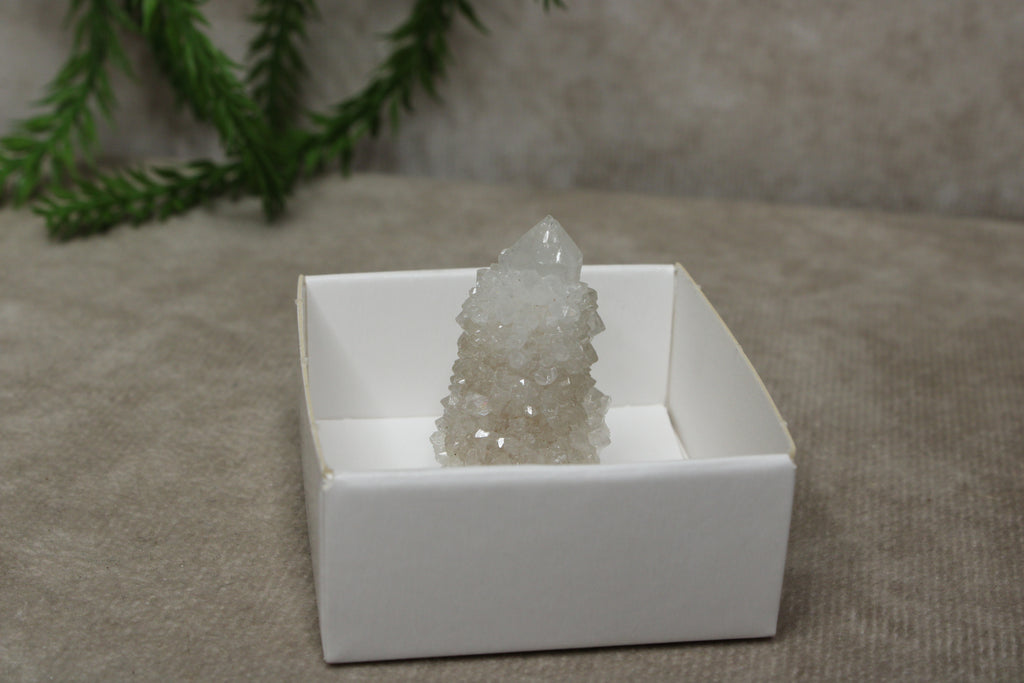 Cactus kwarts / Spirit kwarts #11