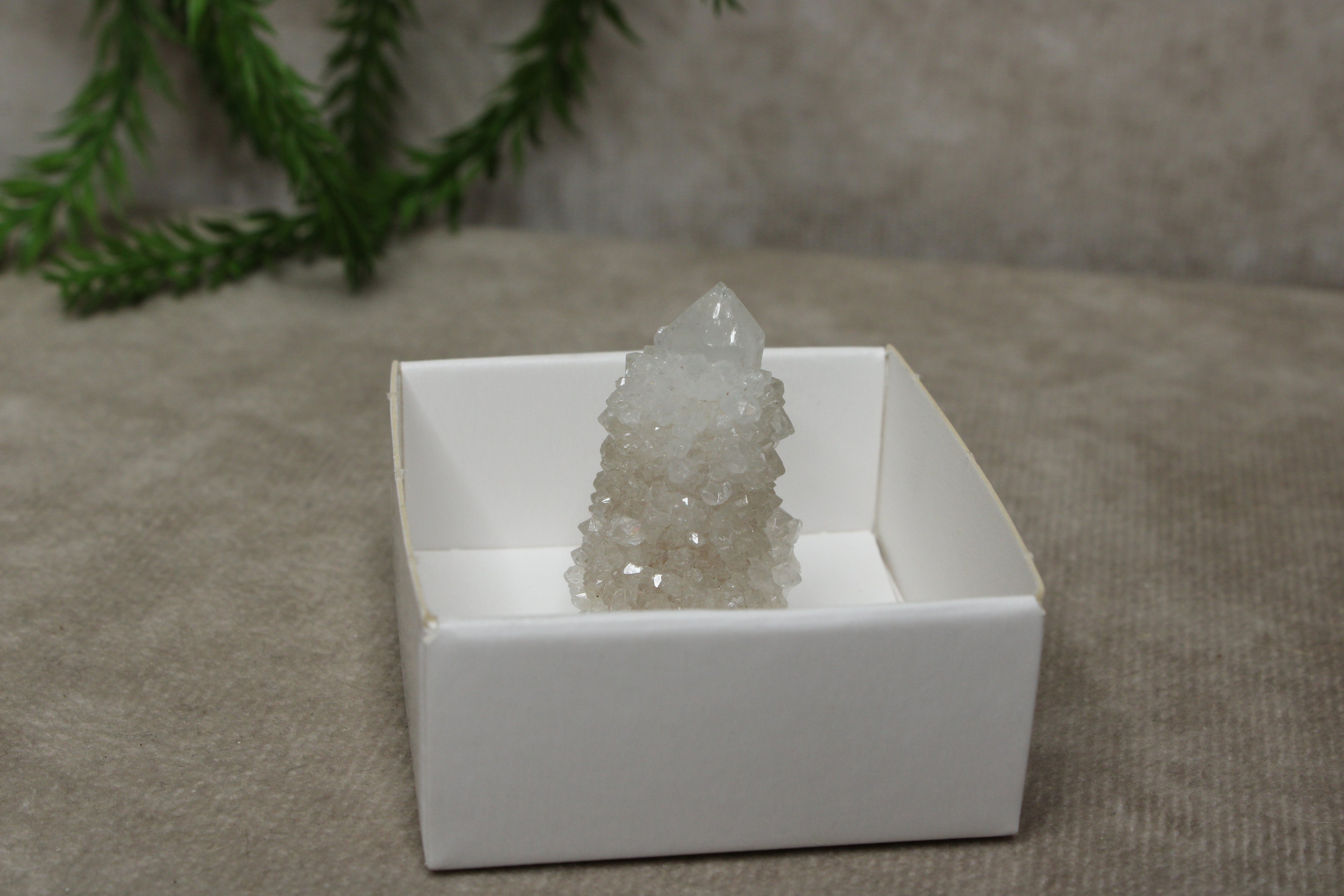 Cactus kwarts / Spirit kwarts #11