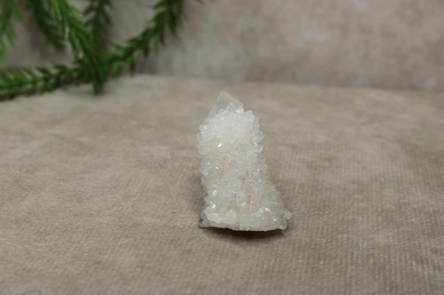 Cactus kwarts / Spirit kwarts #11