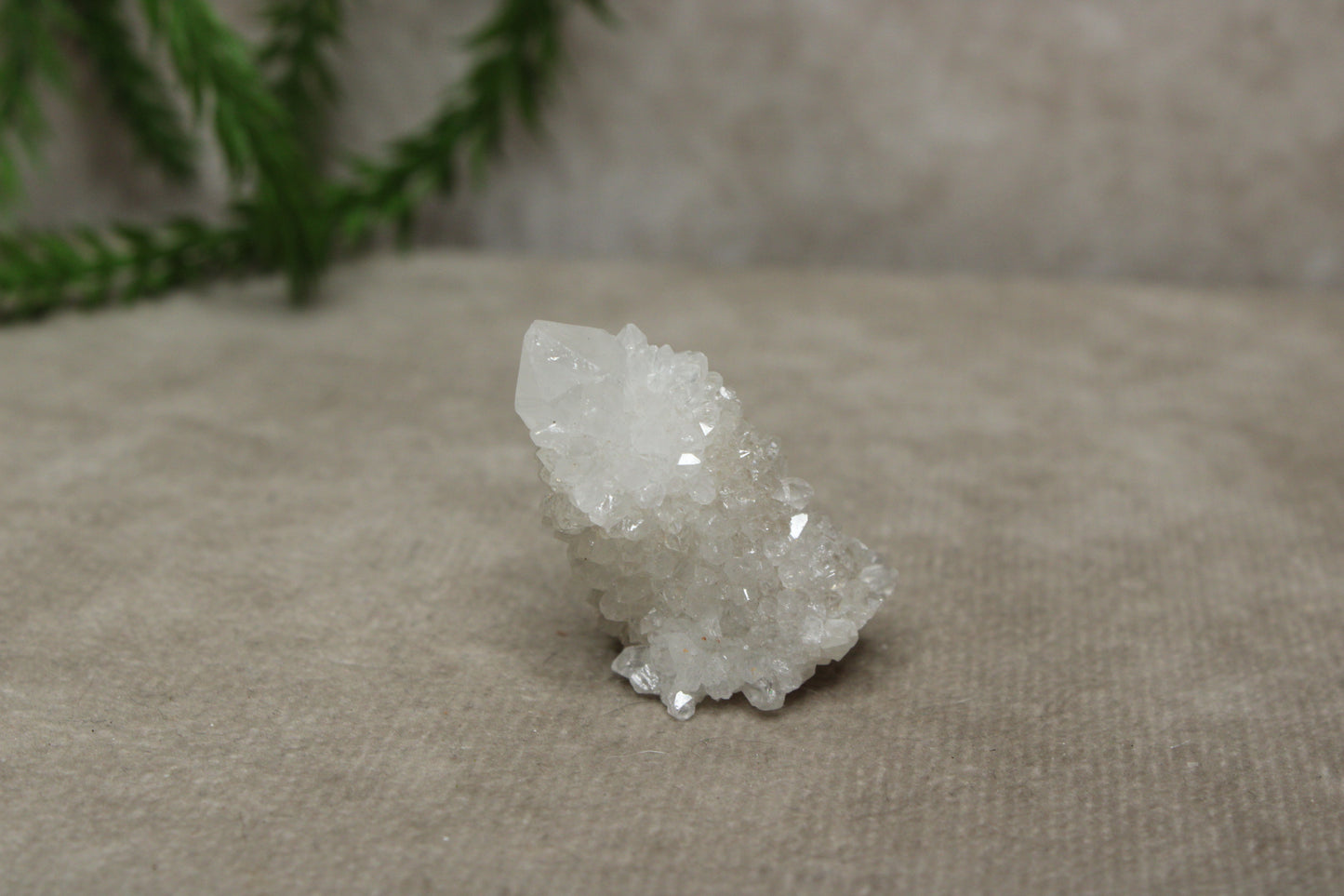 Cactus kwarts / Spirit kwarts #11