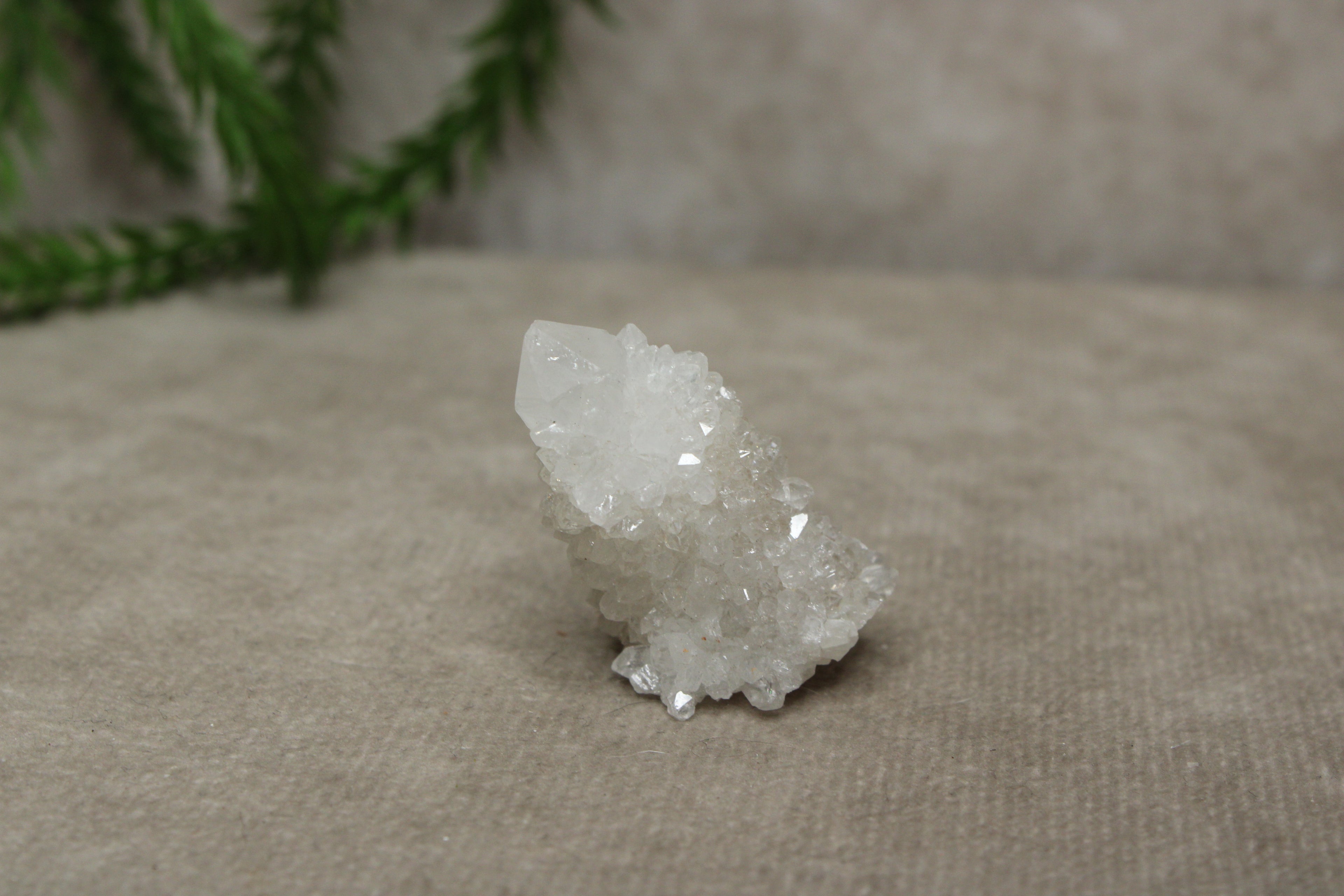 Cactus kwarts / Spirit kwarts #11