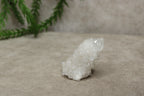 Cactus kwarts / Spirit kwarts #11