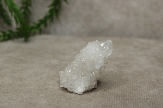 Cactus kwarts / Spirit kwarts #11