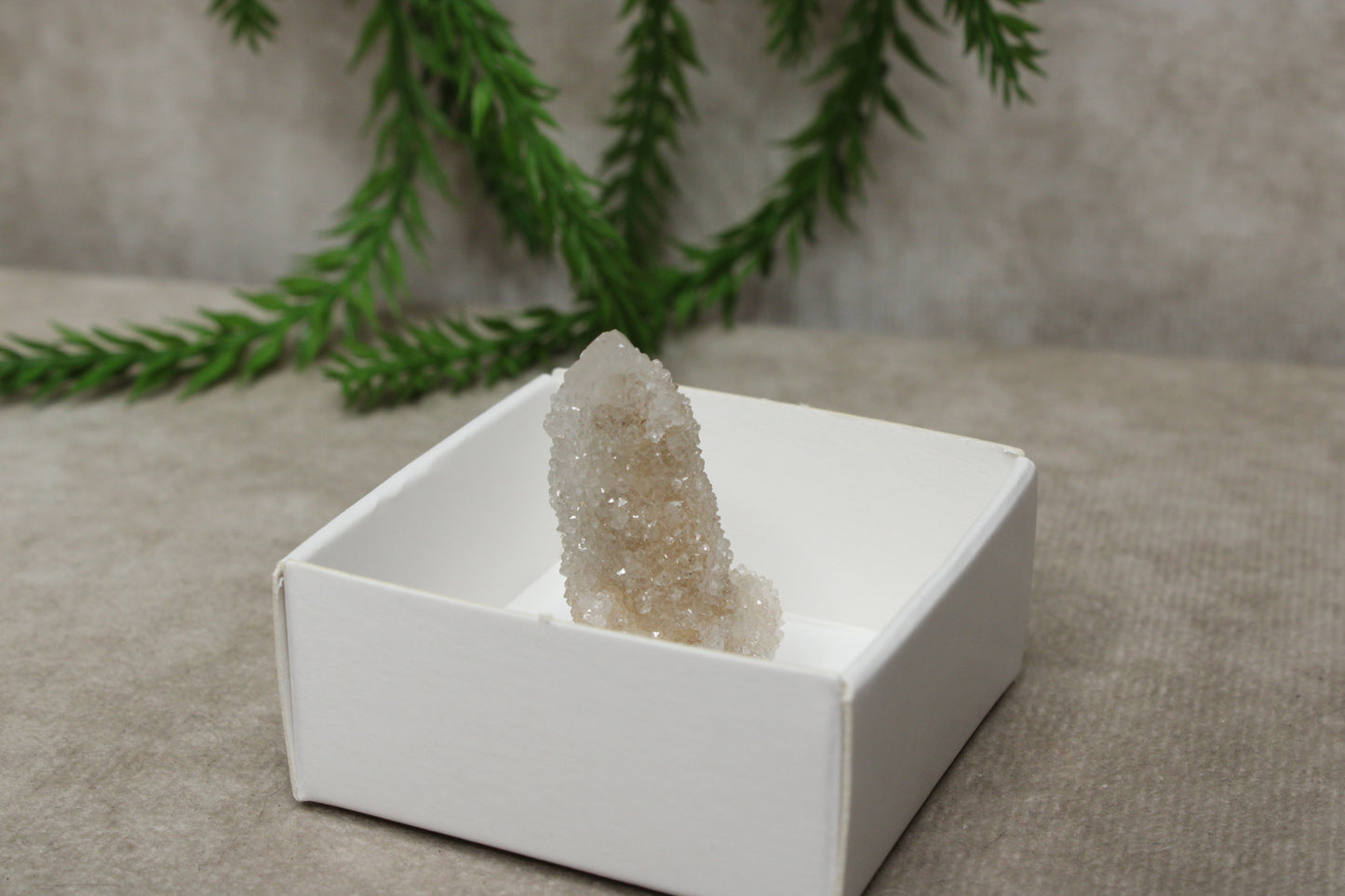 Cactus kwarts /Spirit kwarts #29