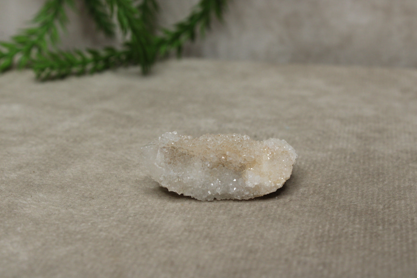 Cactus kwarts /Spirit kwarts #29