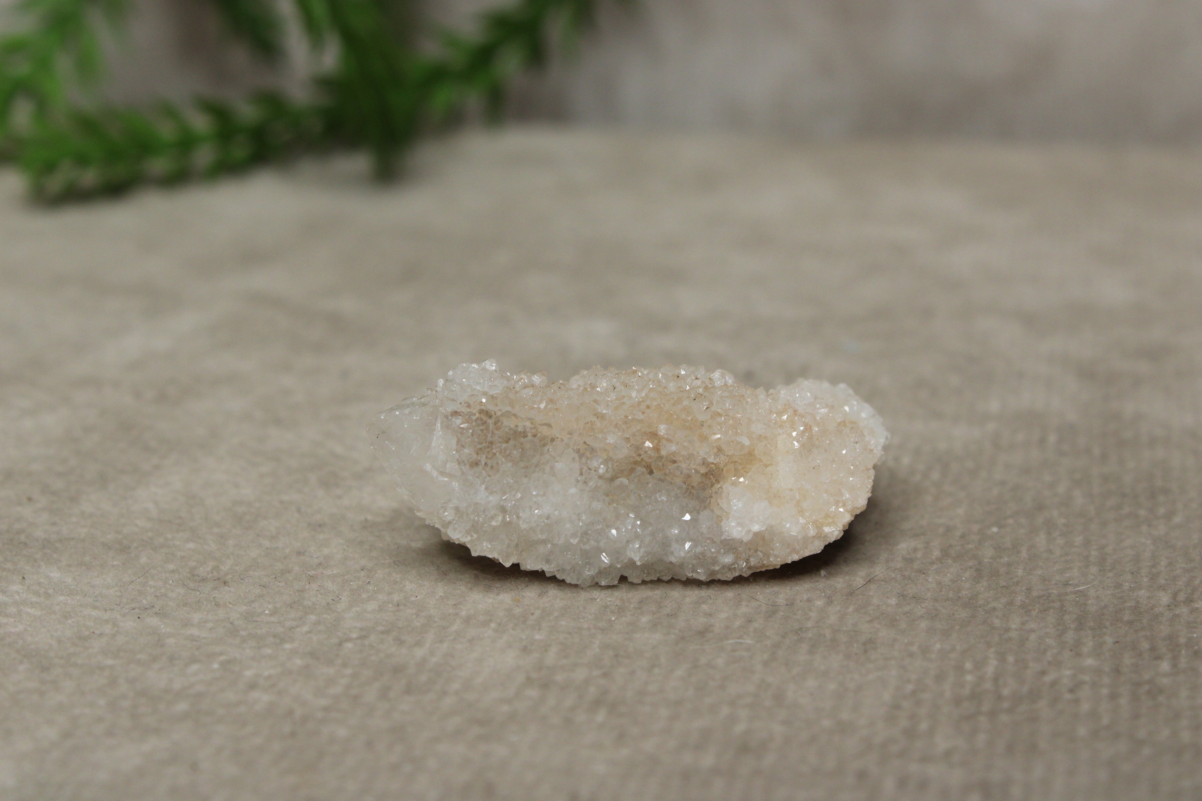 Cactus kwarts /Spirit kwarts #29