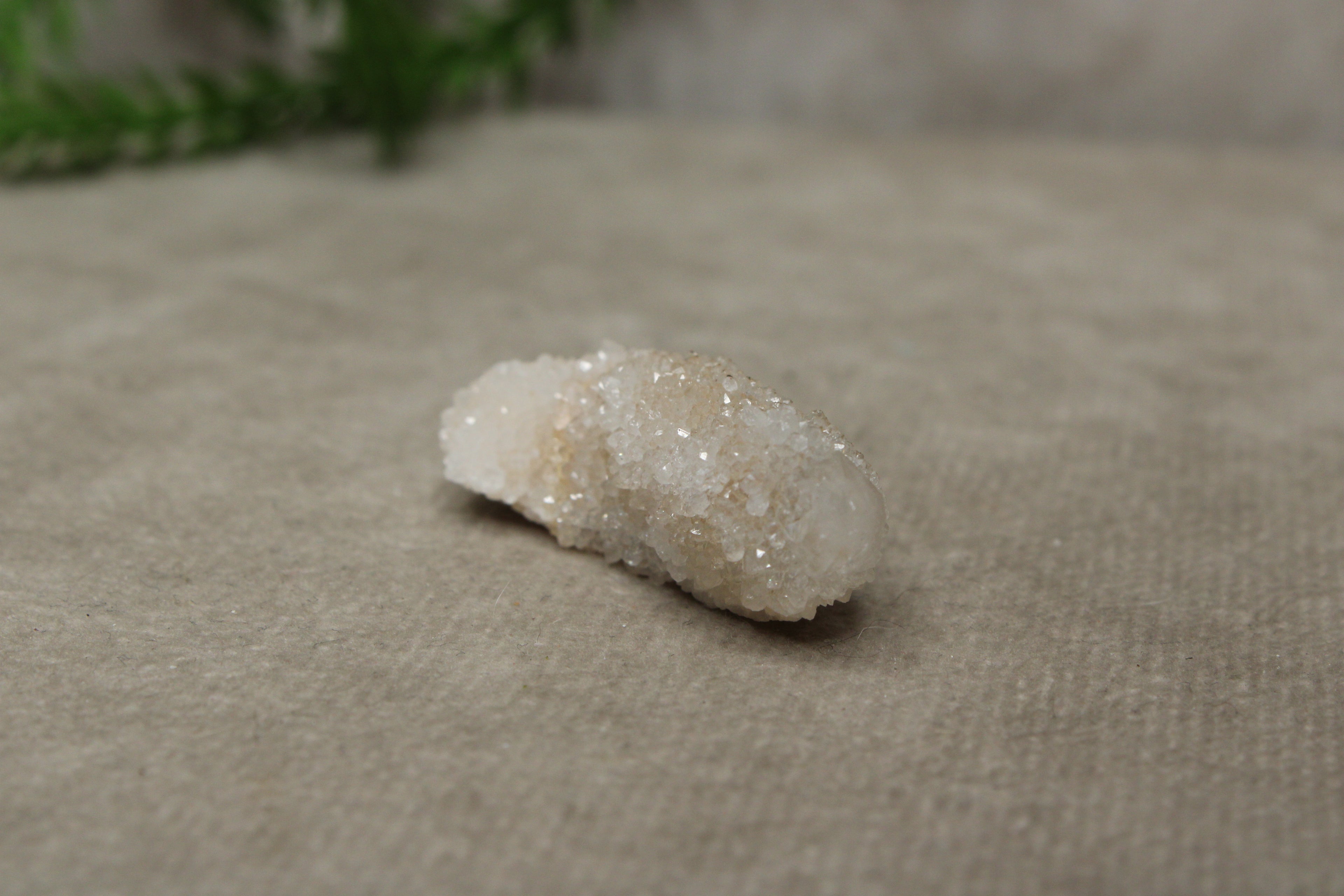 Cactus kwarts /Spirit kwarts #29