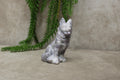Herders hond tiffany stone