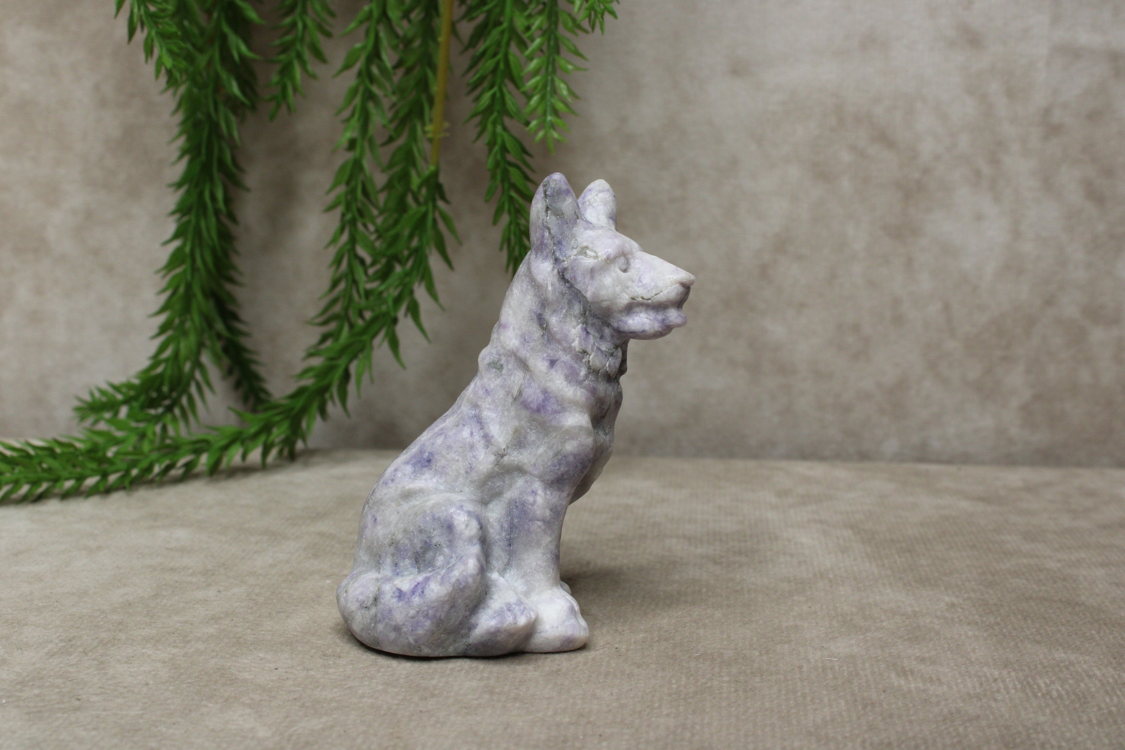 Herders hond tiffany stone