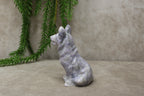 Herders hond tiffany stone