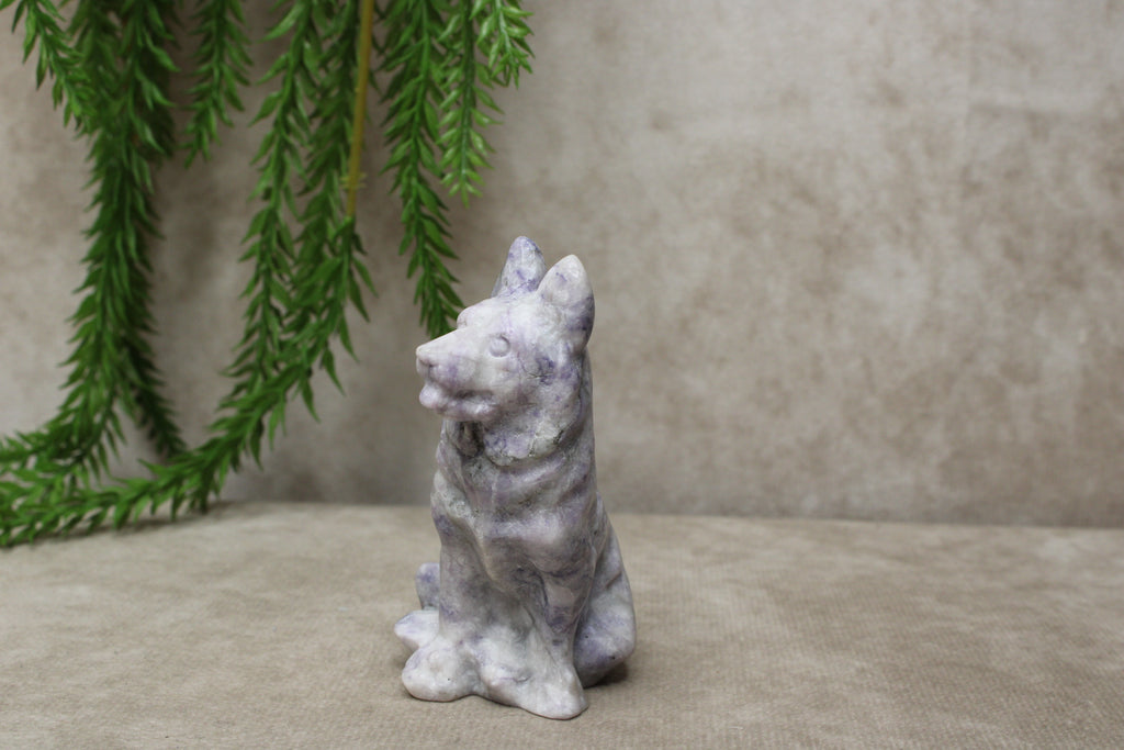 Herders hond tiffany stone