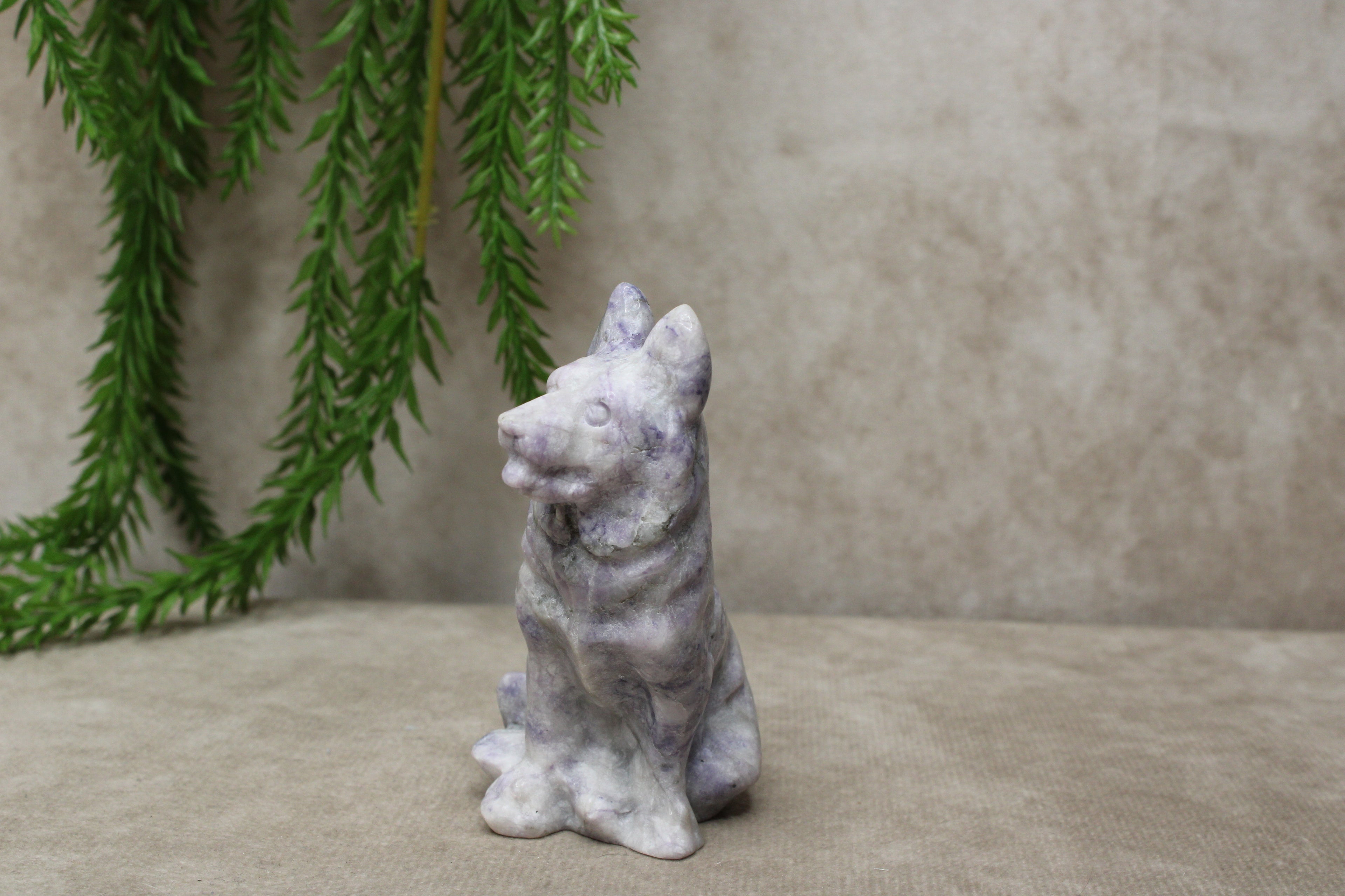 Herders hond tiffany stone
