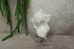 Witte aragoniet cluster #1048