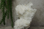 Witte aragoniet cluster #1048