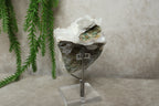 Witte aragoniet cluster #1048