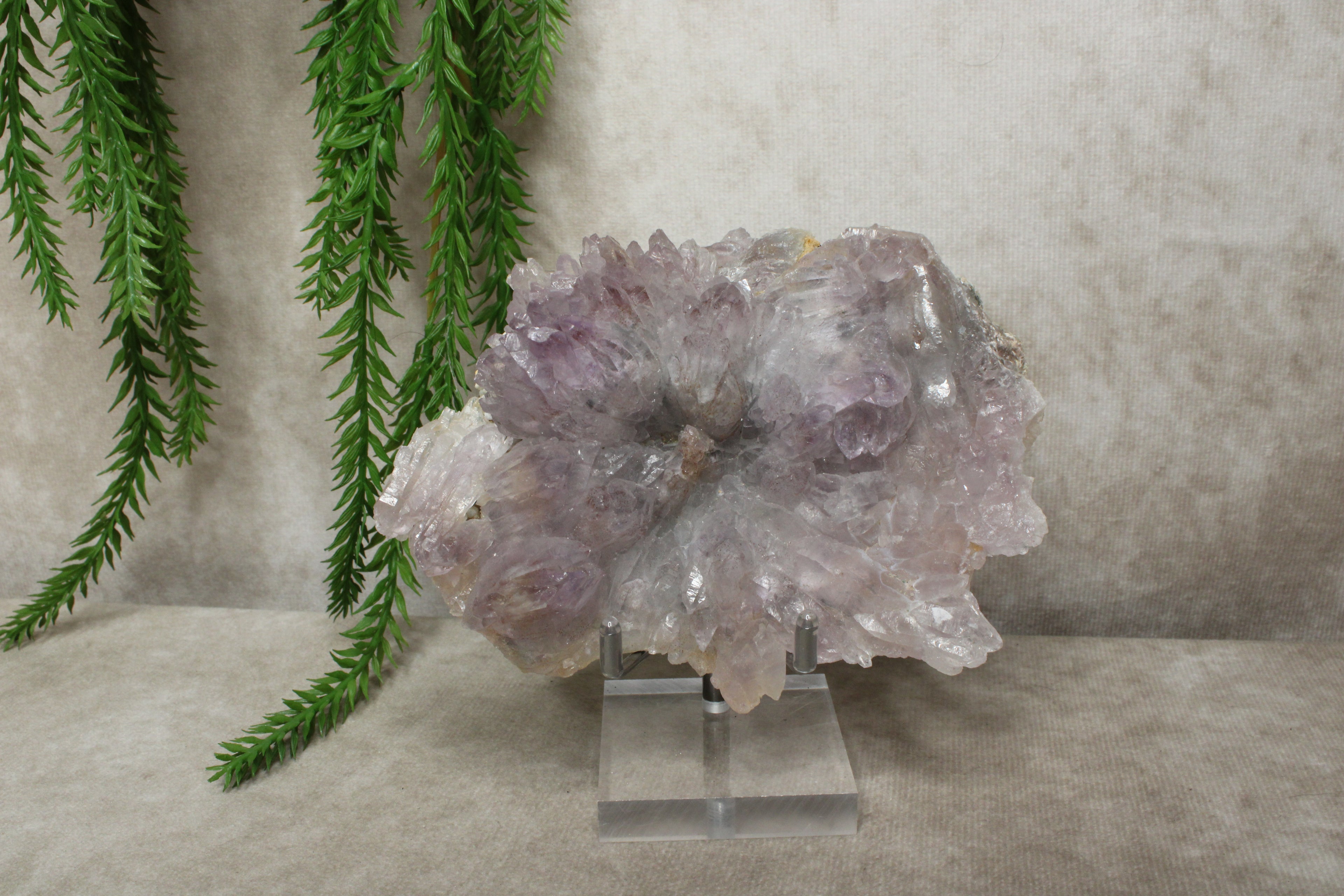 Flower Amethist cluster #1727