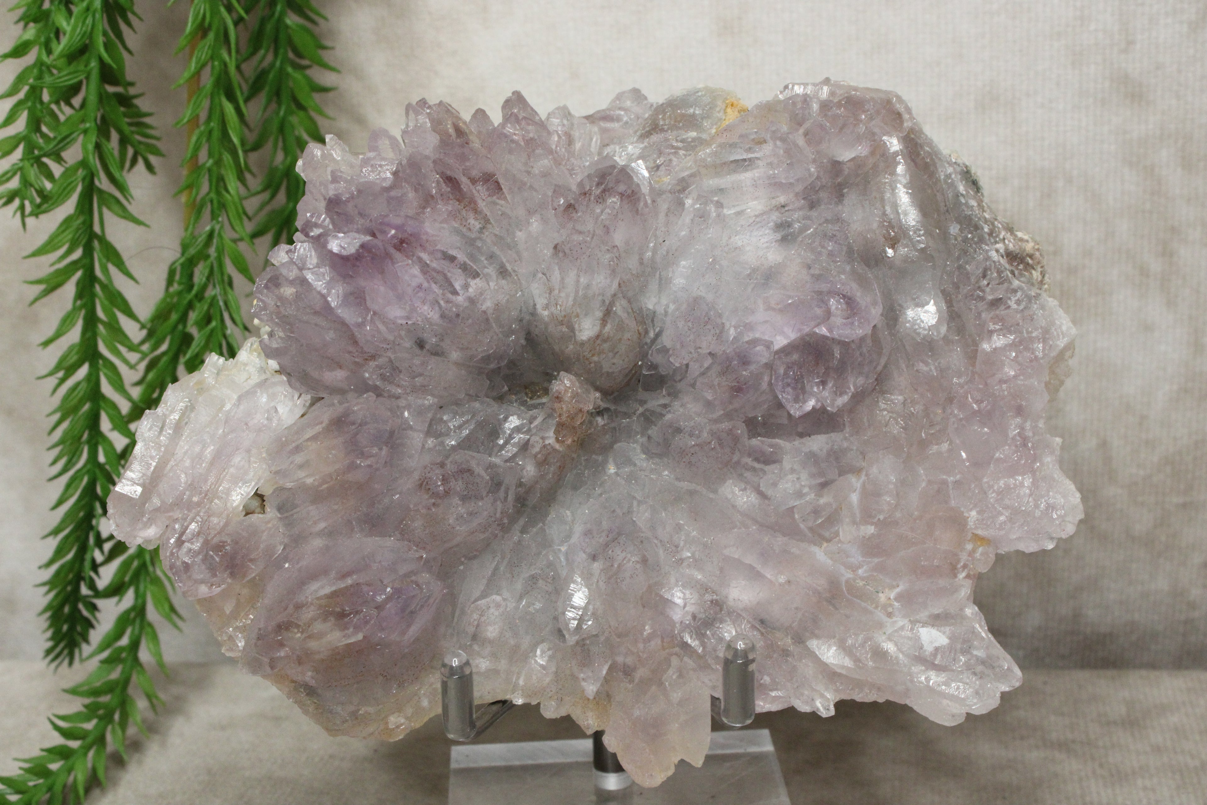 Flower Amethist cluster #1727
