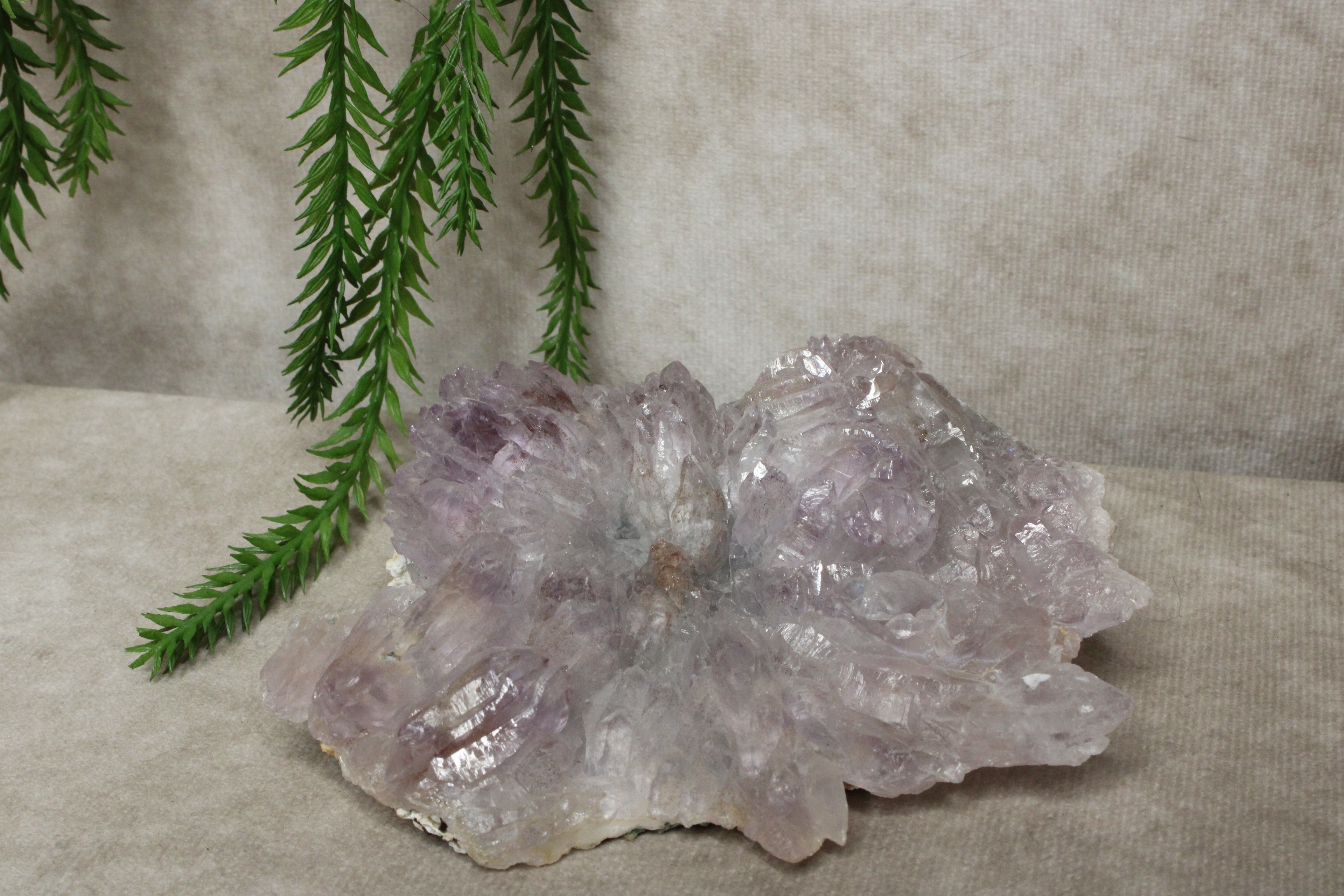 Flower Amethist cluster #1727