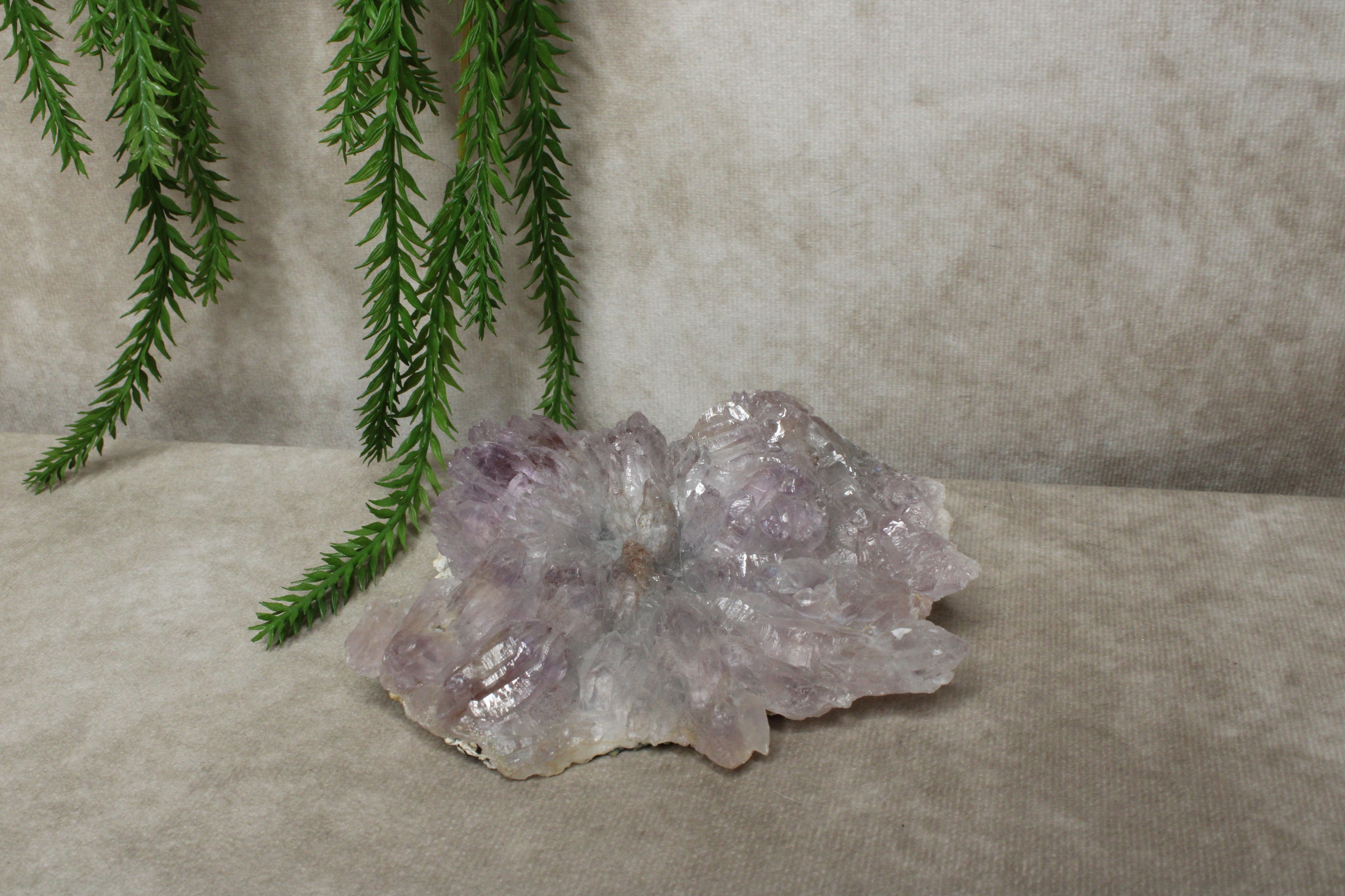 Flower Amethist cluster #1727
