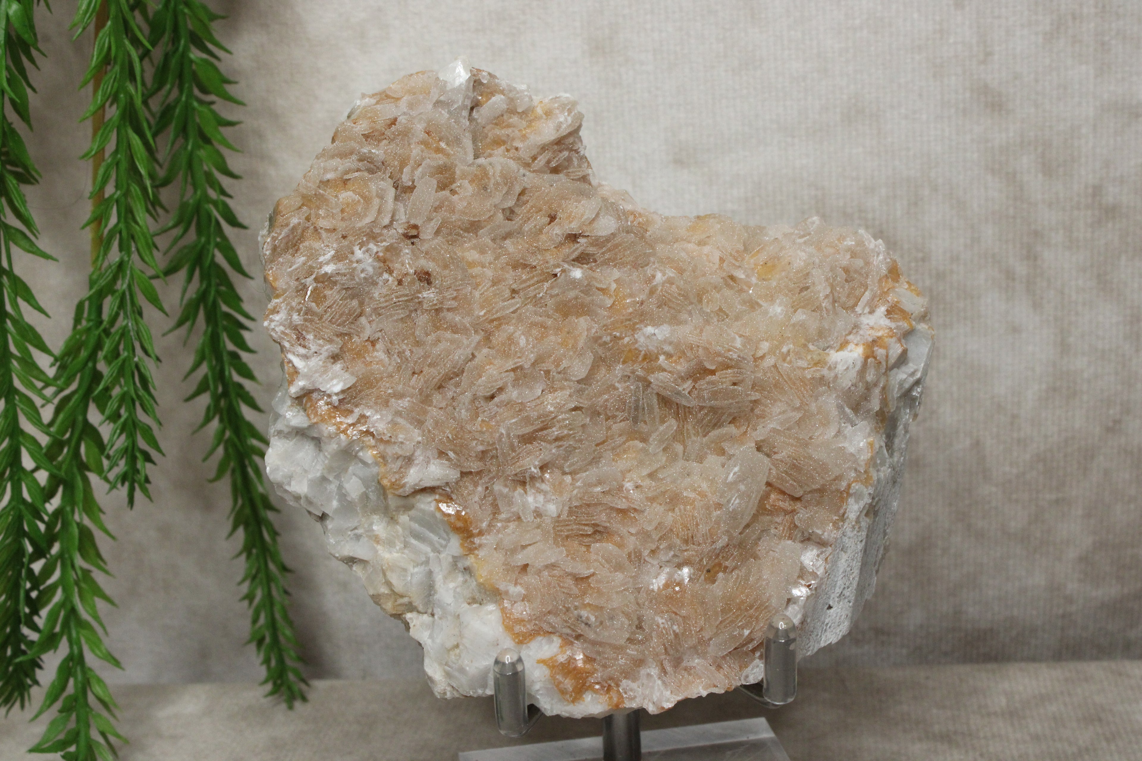 Calciet cluster #1728