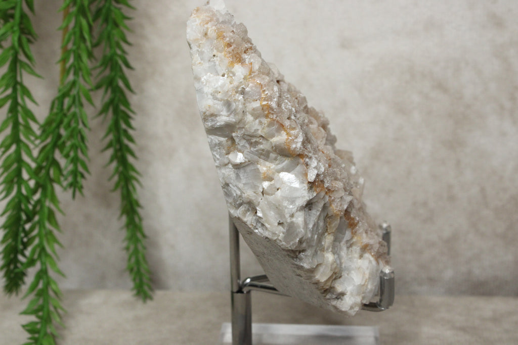 Calciet cluster #1728