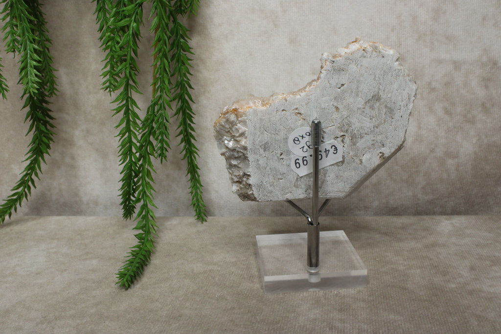 Calciet cluster #1728