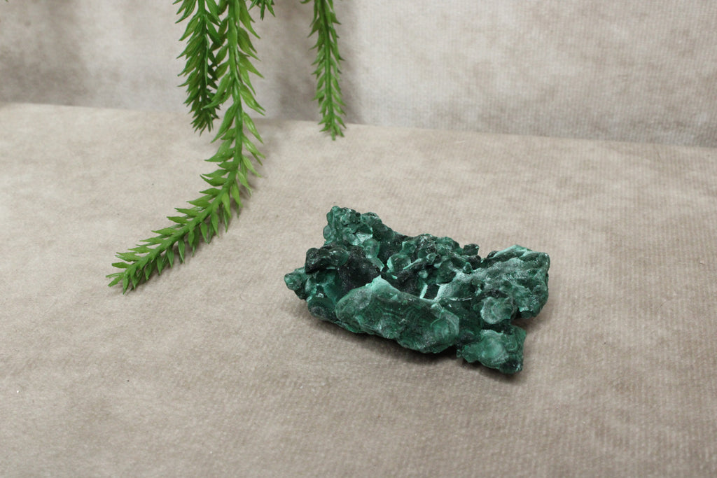 Fluweel Malaciet cluster #0832