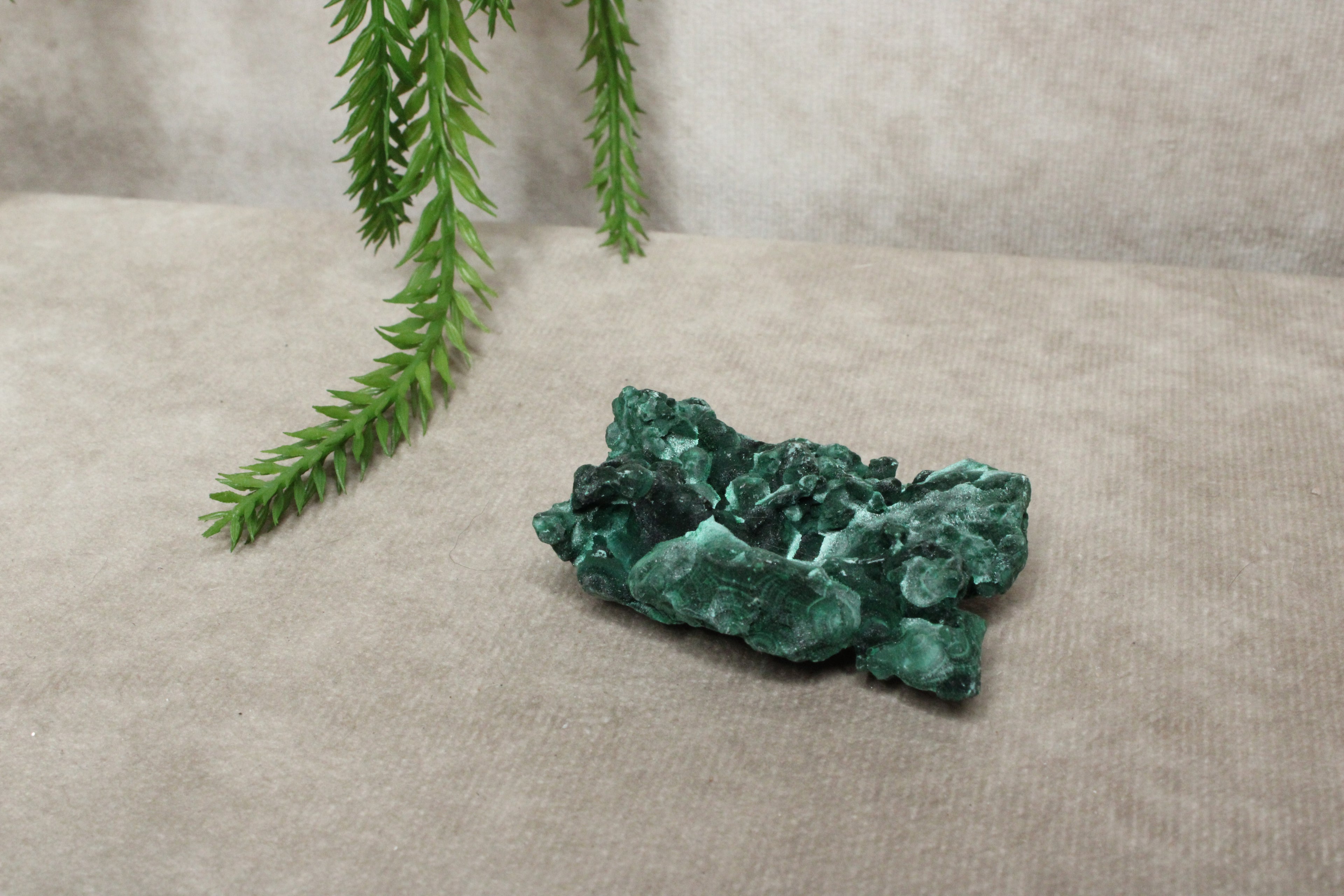 Fluweel Malaciet cluster #0832