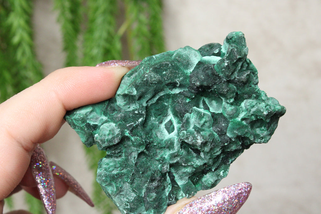 Fluweel Malaciet cluster #0832