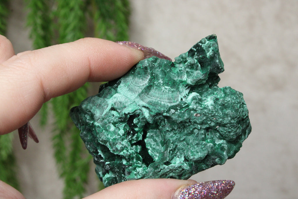 Fluweel Malaciet cluster #0832