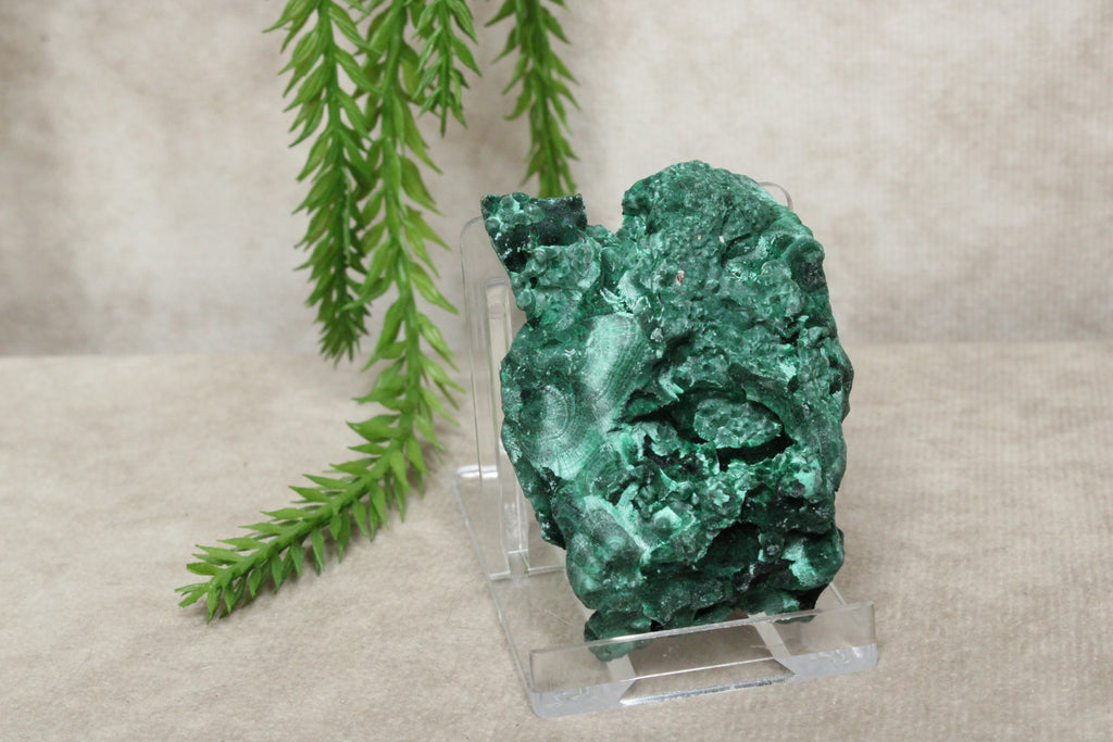 Fluweel Malaciet cluster #0832