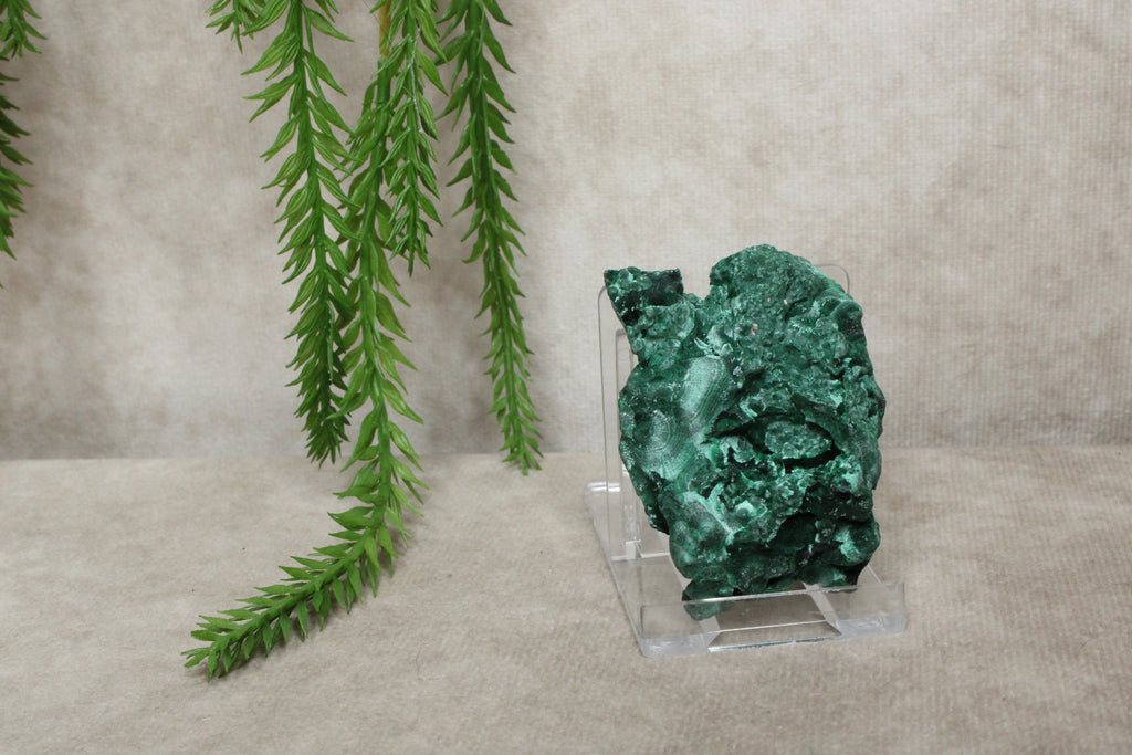 Fluweel Malaciet cluster #0832