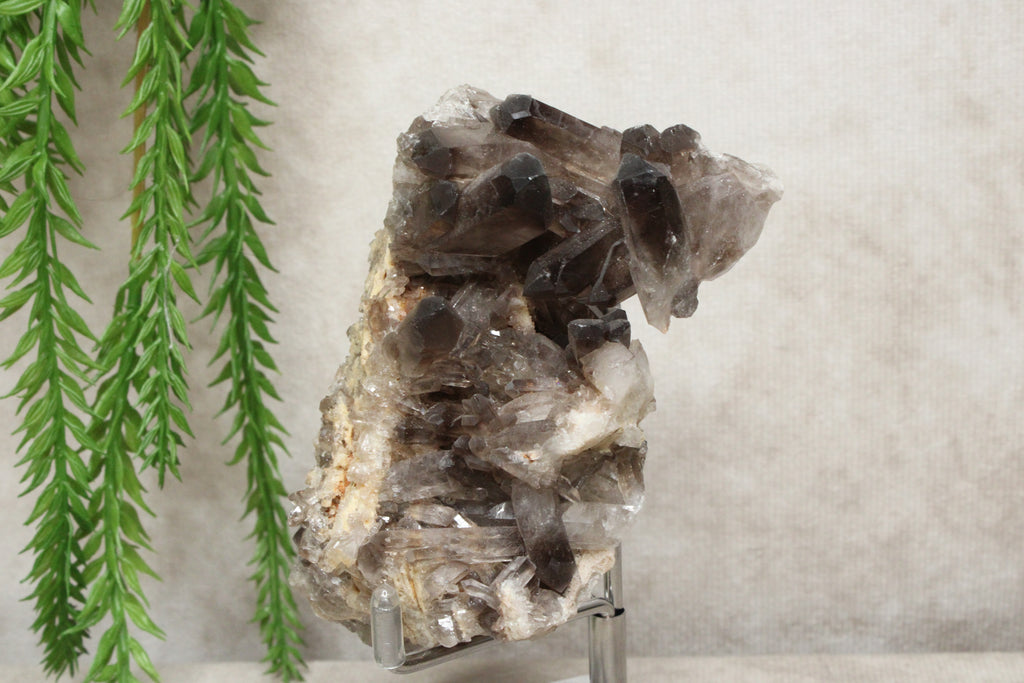 Rookkwarts cluster #0010