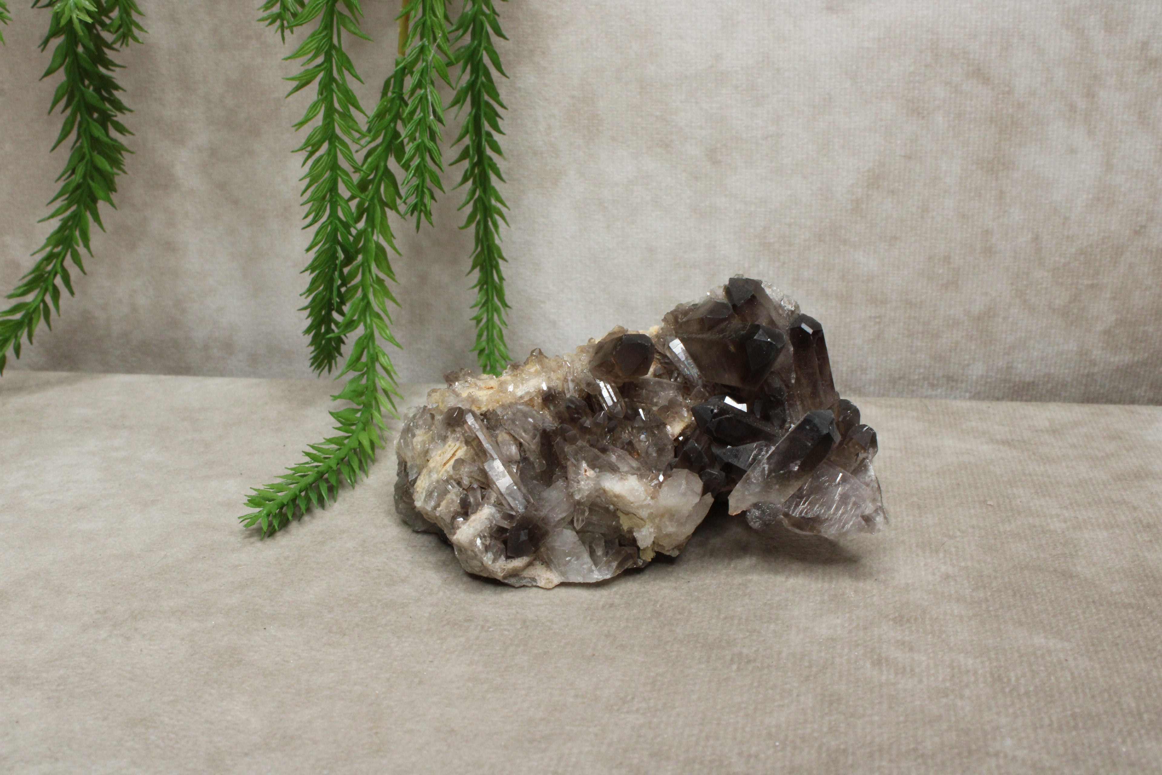 Rookkwarts cluster #0010