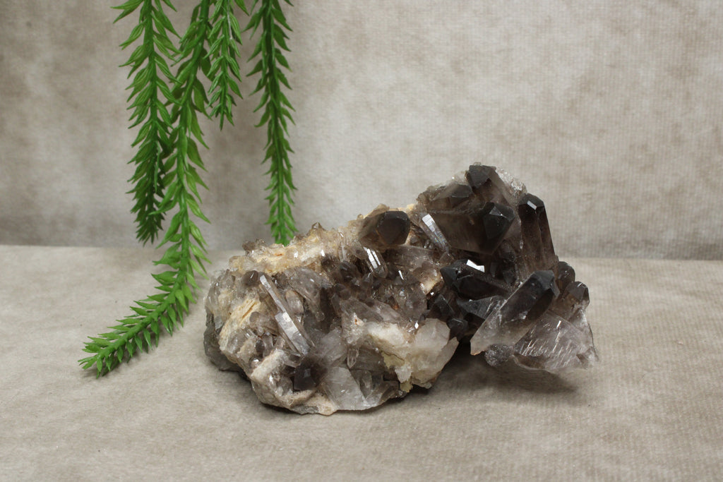 Rookkwarts cluster #0010