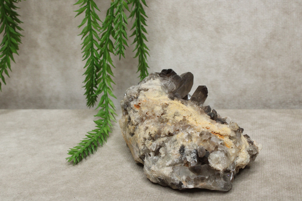 Rookkwarts cluster #0010