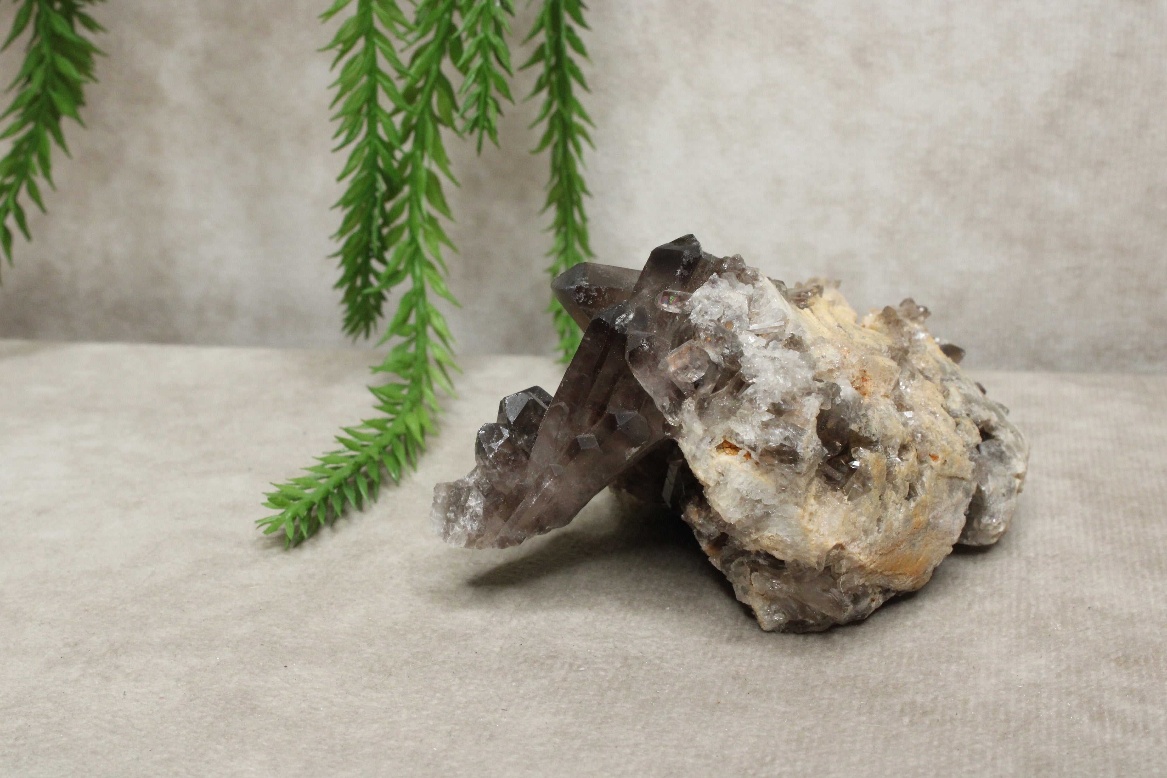 Rookkwarts cluster #0010